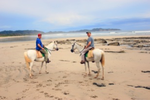 CR Beach Horses