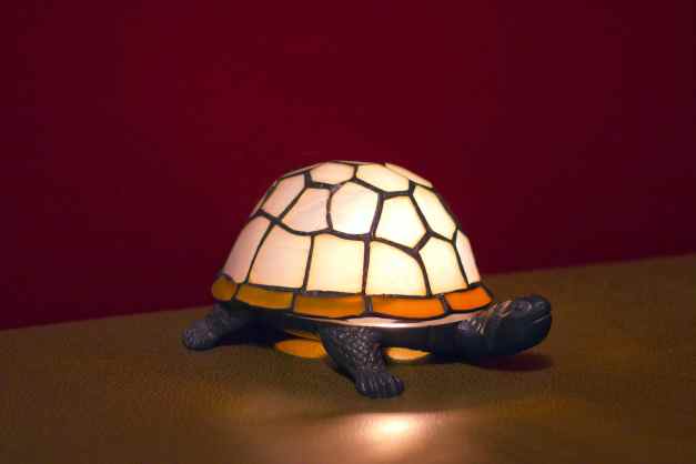March 4, 2013: Turtle Lamp