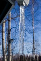 March 16, 2013: Icicle