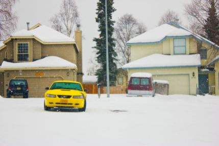 March 23, 2013: Yellow Snow